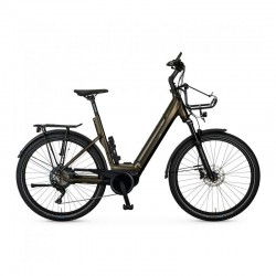 E-BIKE MANUFAKTUR 13ZEHN...