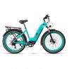 CYRUSHER KUATTRO STEP-THROUGH ELECTRIC BIKE | 750W 17AH