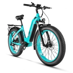 CYRUSHER KUATTRO STEP-THROUGH ELECTRIC BIKE | 750W 17AH