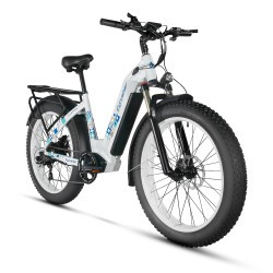 CYRUSHER KUATTRO STEP-THROUGH ELECTRIC BIKE | 750W 17AH