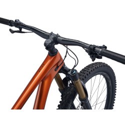 GIANT REIGN ADVANCED PRO 29 1 (2022)