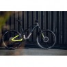 HAIBIKE LYKE CF 11