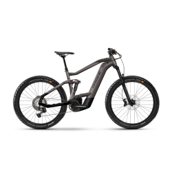 HAIBIKE ALLTRAIL 10 29