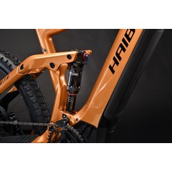 HAIBIKE ALLMTN CF 6