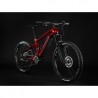 HAIBIKE ALLMTN CF 12