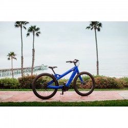 THE RIDE RADIANT CARBON ELECTRIC BIKE: LIMITED EDITION