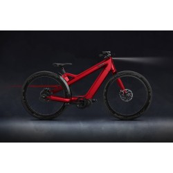 THE RIDE RADIANT CARBON ELECTRIC BIKE: LIMITED EDITION