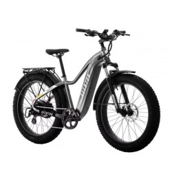 Aventon Aventure.2 Ebike