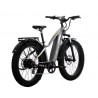 Aventon Aventure.2 Ebike