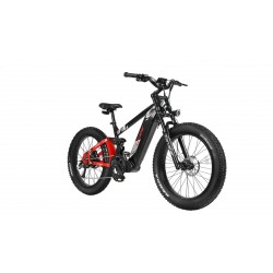 CYRUSHER RANGER ALL-TERRAIN ELECTRIC BIKE | 750W 20AH | TORQUE SENSOR